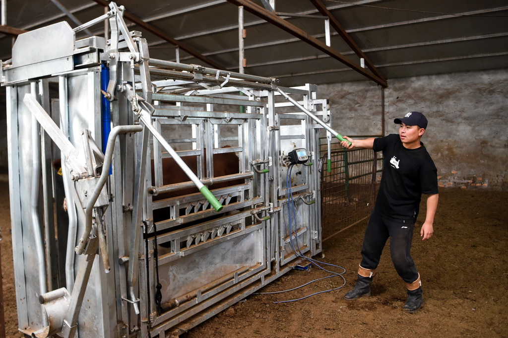 ľϣղOoţQwأ716Քz31qİľϣ͏KľD²2018Ķ_˹WwصlIͥ挦݈˻Ʒ|͵Ȇ}eO푑̖ͨ^ȺYţϢnţ似geƄFBҼĿǰ4000݈60^Aĸţ׃݈B@ľϣfBģʽţƷ|ͳڃrBţ^ǰ@LAӛ ־i z