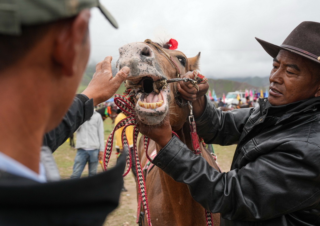 723ˆTzRǷϱِͬMeȼĄ