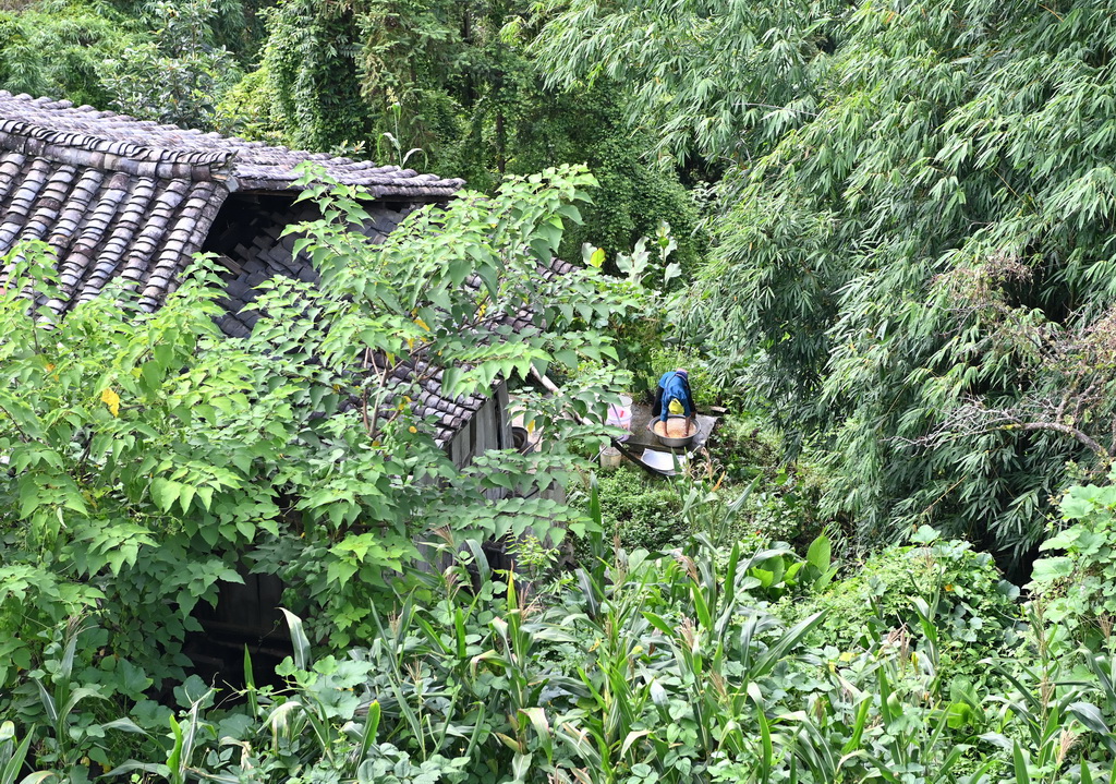 mǎrľկʂᄾƣ730Քz