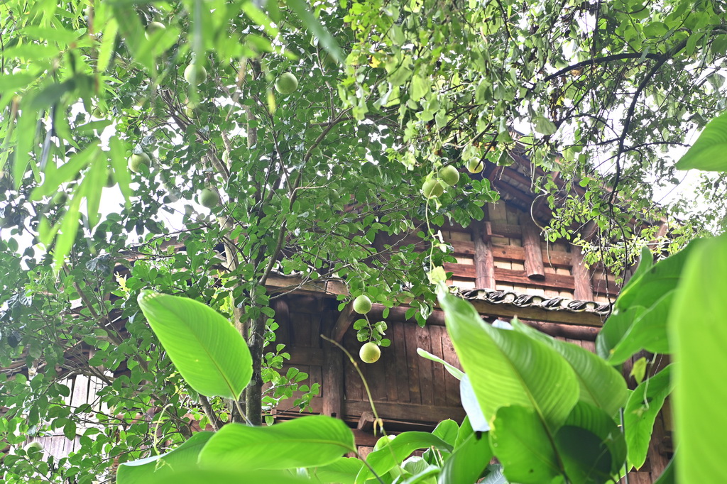 @ǎrľկһľǰïʢӘ䣨730Քz