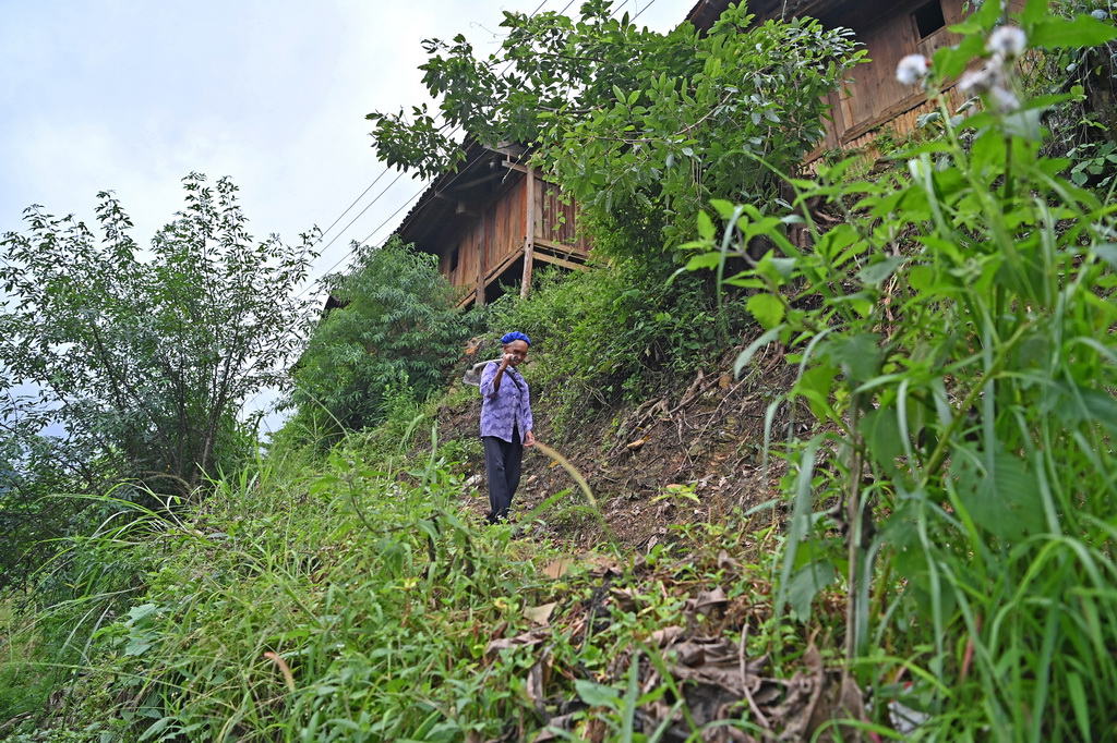 ؿz^ƽ͵Ĵϣ731Քz