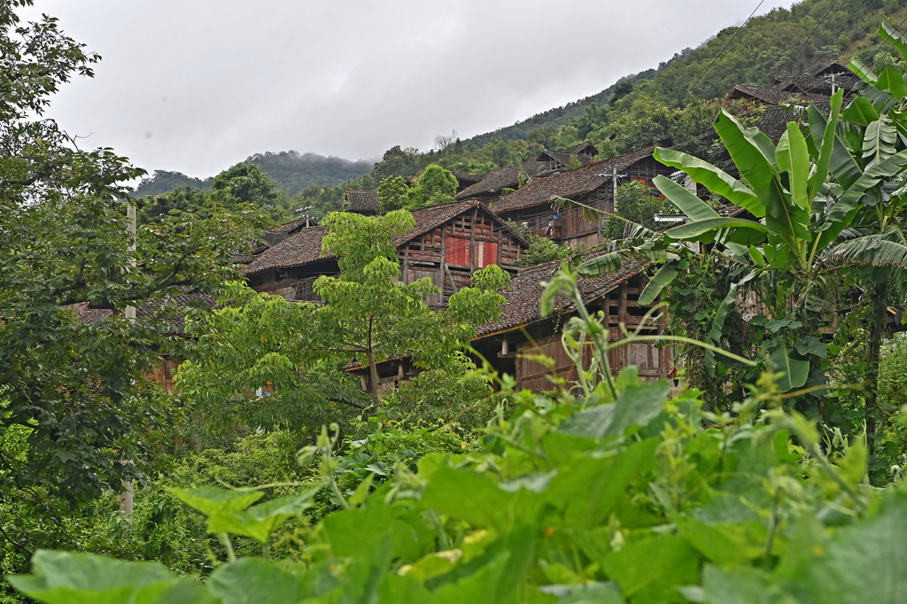 ƽ;Gӳľǣ731Քz