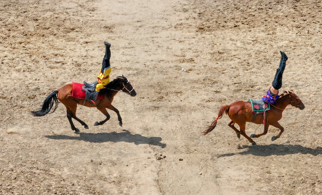 88Ĕz2024d_Ľ_ĻʽϵRgݣo˙CƬ