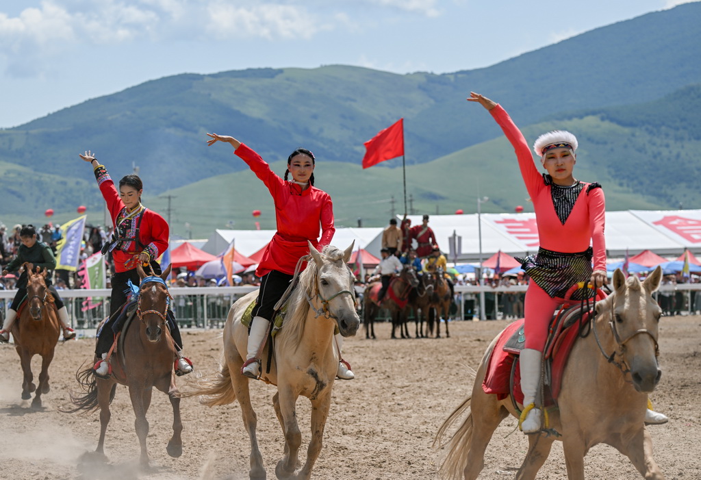 88Ĕz2024d_Ľ_ĻʽϵRg