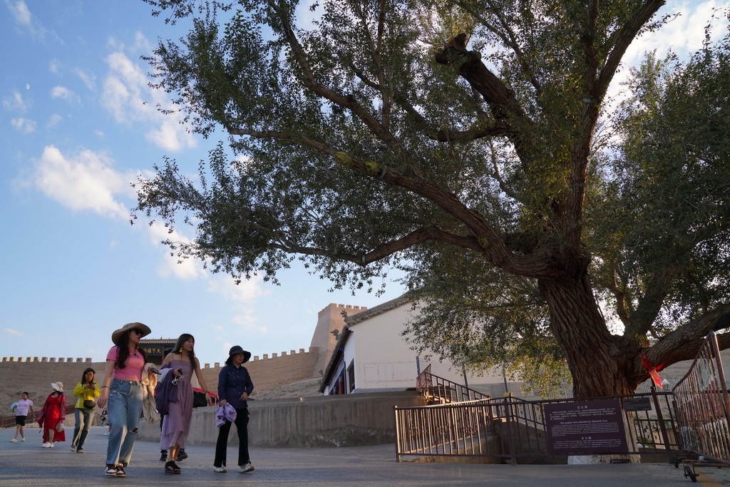 714[PPǵο͏ġ󹫗½^@ǰǰ܊;ԷNԊٝԻԗǧôLPAӛ R z