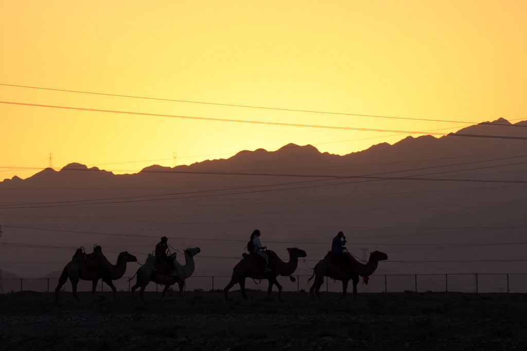  714SrꠏļPP^Aӛ R z