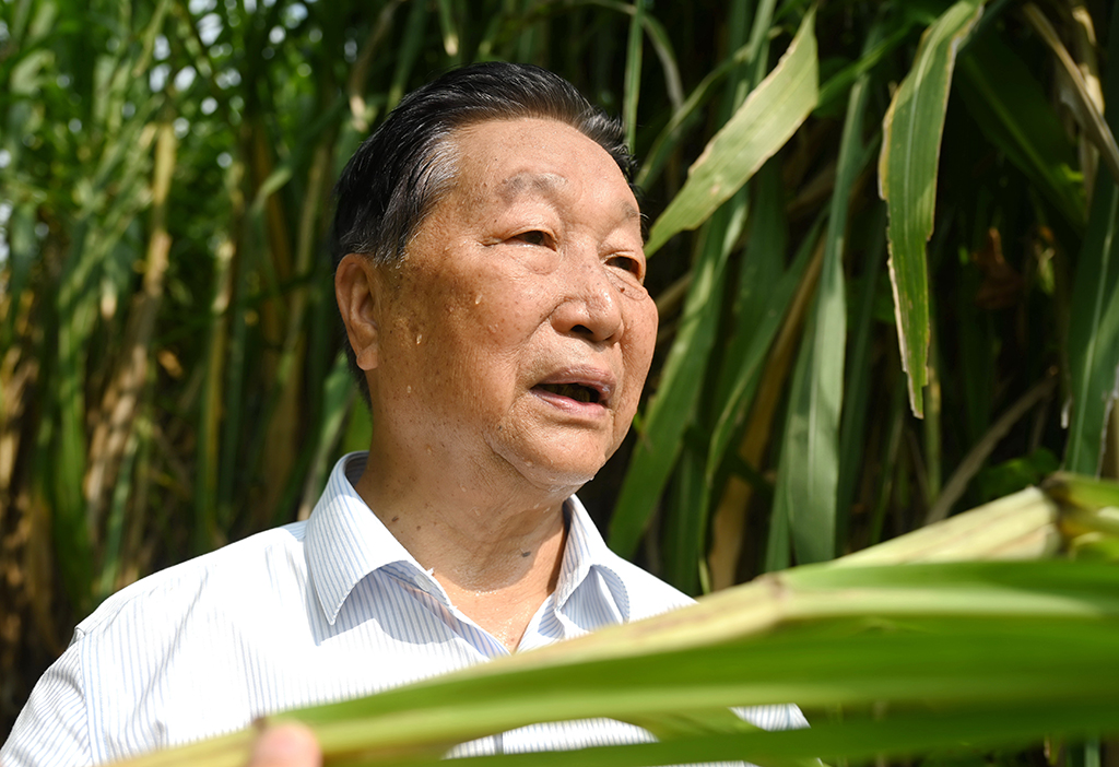 @828ĔzռAӛ Ƃ z