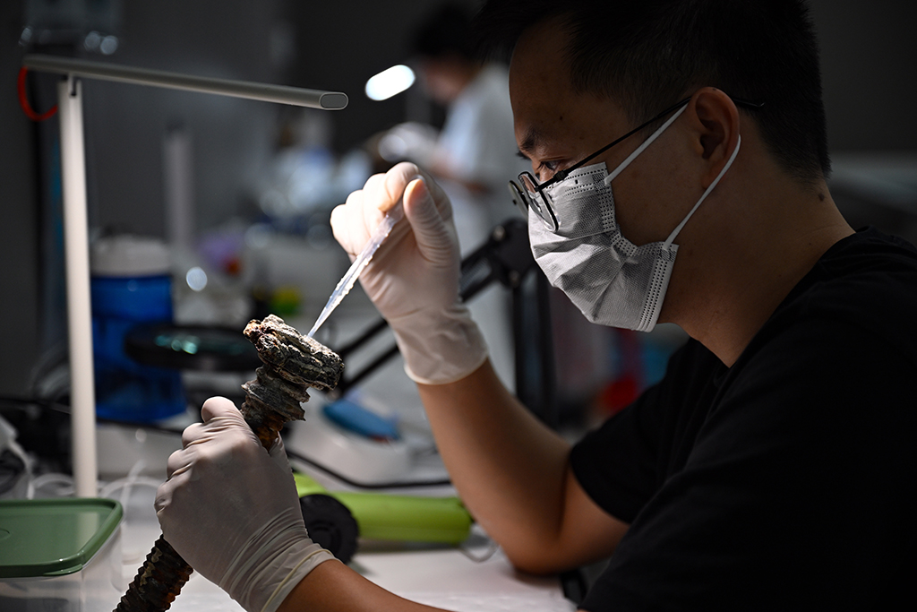 8月27日，中國（海南）南海博物館的工作人員顏建超在修復文物。
