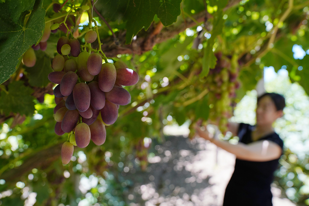 717οڸCʡػP悲ժAӛ R z