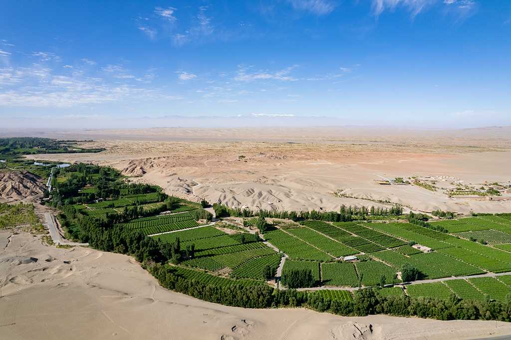 717ڸCʡػĔzP^͸Gޣo˙CƬAӛ ɱ z