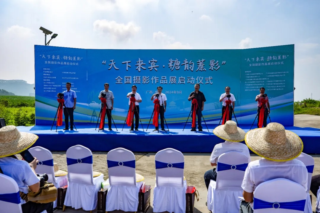 eӰȫzӰƷչϵлʽ