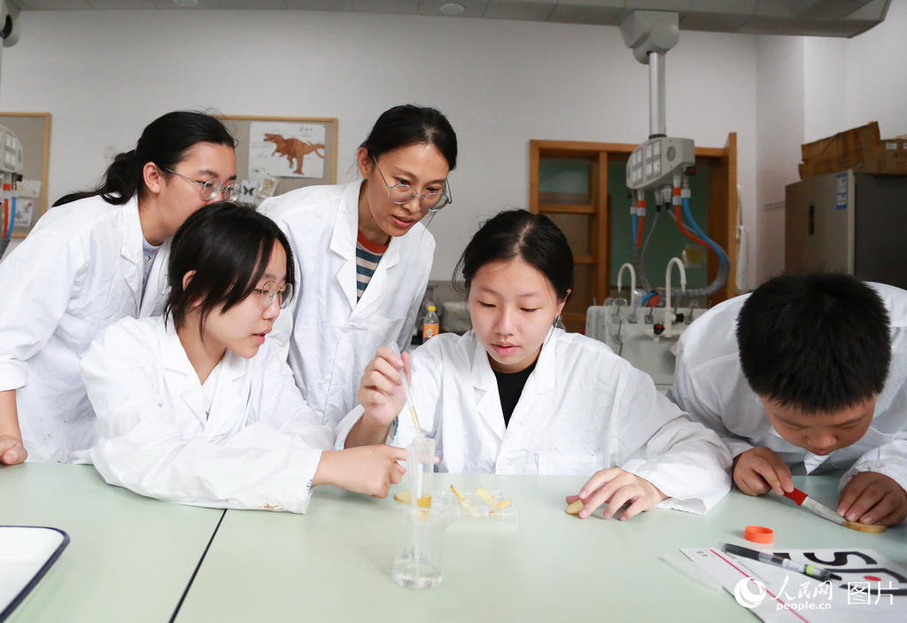 97ϺSօ^ƼĽָ̎W̽׃FWӛ ɯz