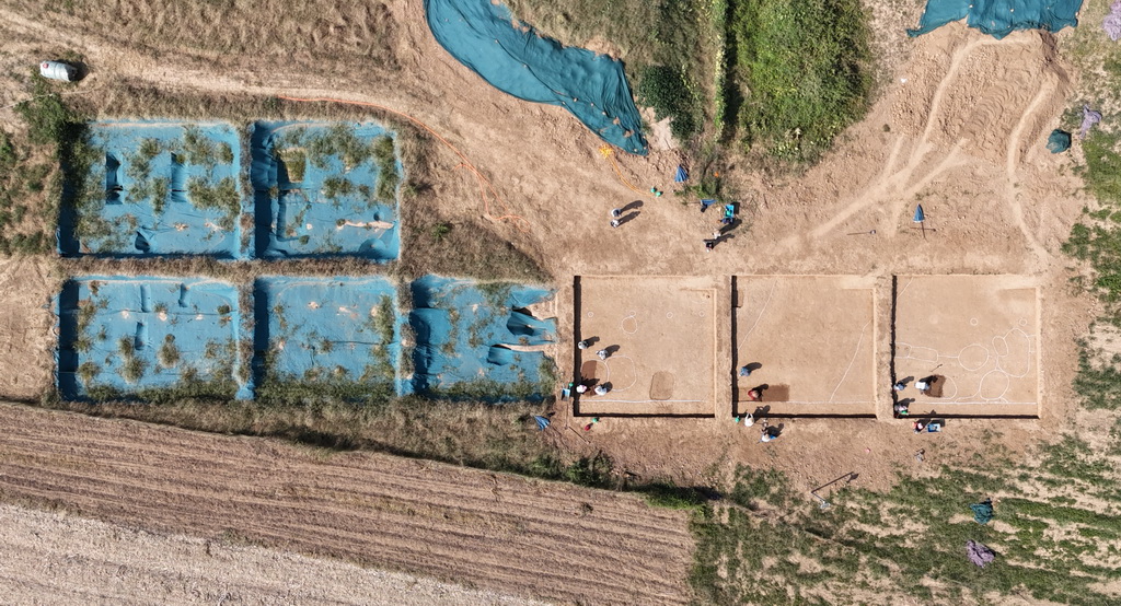 9��11���Ĕz�İ�����zַ�l��F�����o�˙C��Ƭ�������A��ӛ�� Ԭ���� �z