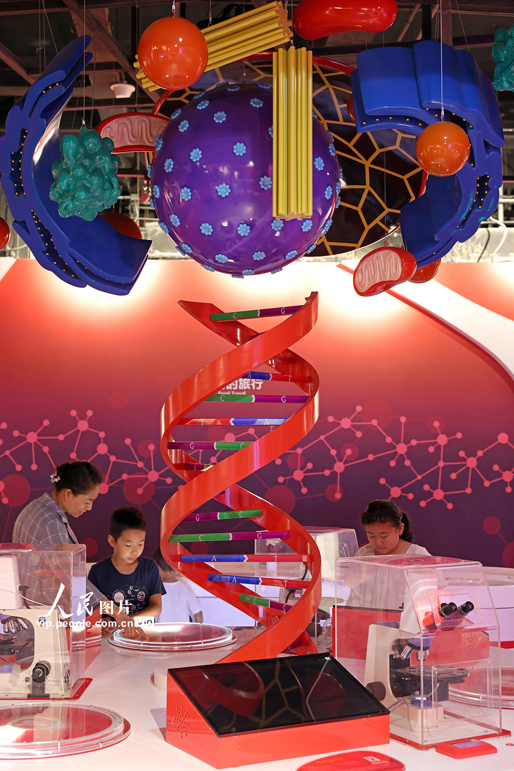 ɽ�|���f�����ܿƼ�������5��