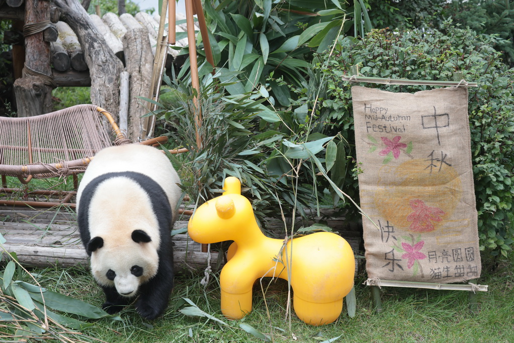 917һֻ؈^ӡС옷չAӛ  z