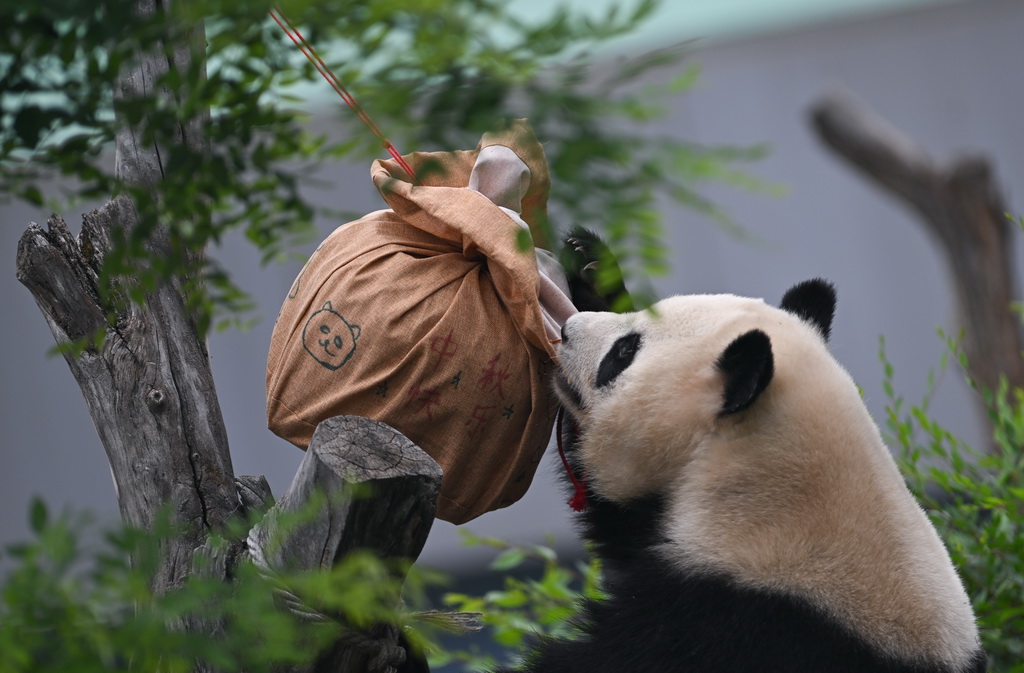 917؈^һֻ؈ˣAӛ  z