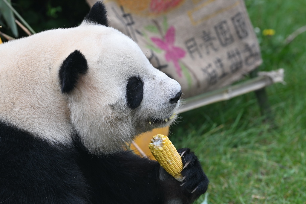 917؈^һֻ؈ڳAӛ  z