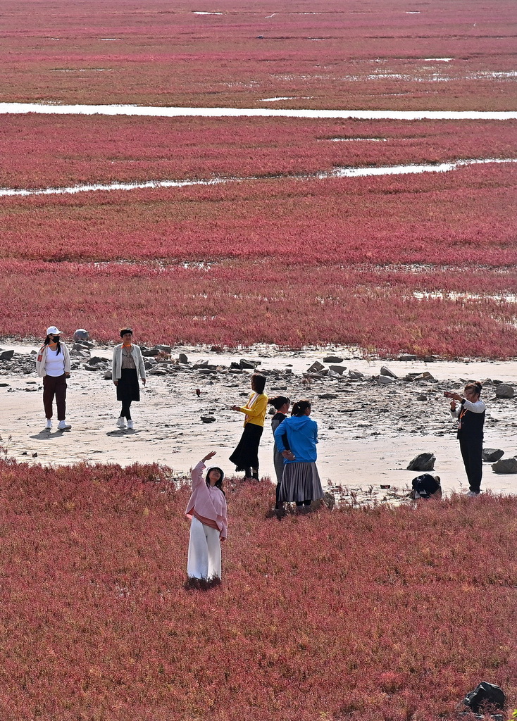 9��14�����ο����|��ʡ�\�����躣�мt���������L���ȵ����p�t���������A��ӛ�� ���A �z