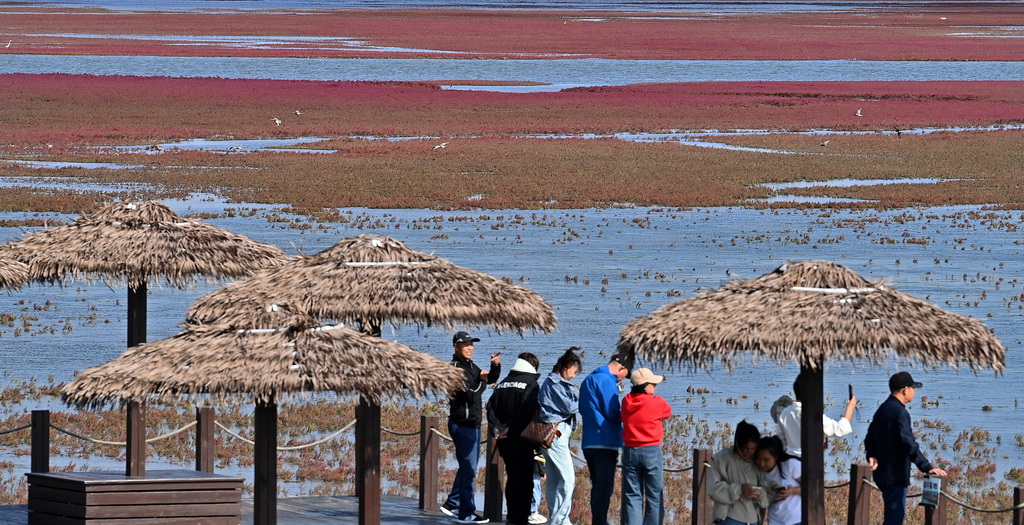 9��14�����ο����|��ʡ�\�����躣�мt���������L���ȵ����p�t���������A��ӛ�� ���A �z