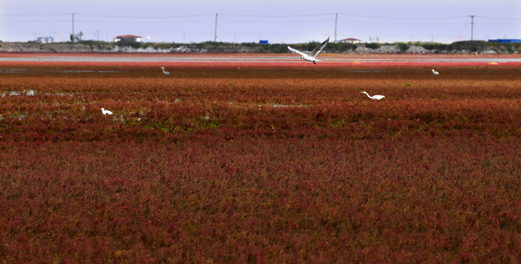 9��14�������B���|��ʡ�\�����躣�мt���������L���ȵ��t�����Ͽ��w�������A��ӛ�� �Xһ �z