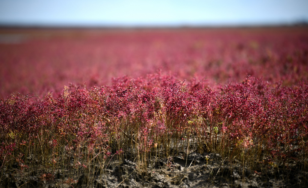 �@��λ���|��ʡ�\�����躣�мt���������L���ȵ��躣����·��t������ĉA��ݣ�9��14�Քz�������A��ӛ�� �Xһ �z