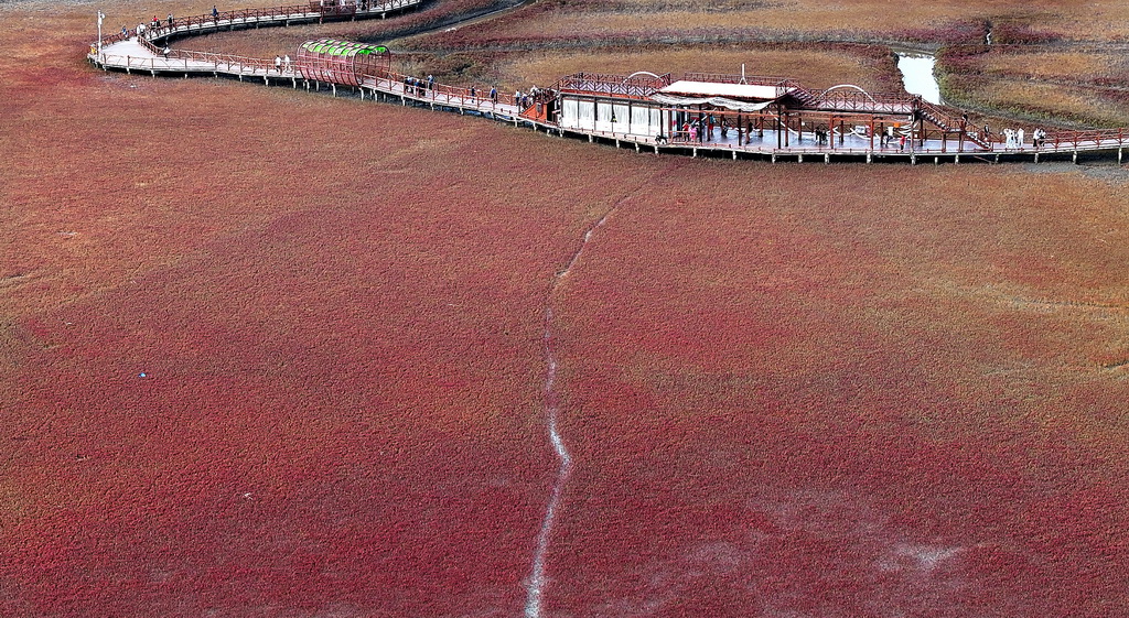 �@��9��11���Ĕz���|��ʡ�P�\�мt���������L���ȵ����^�ļt�������o�˙C��Ƭ�������A��ӛ�� ���A �z