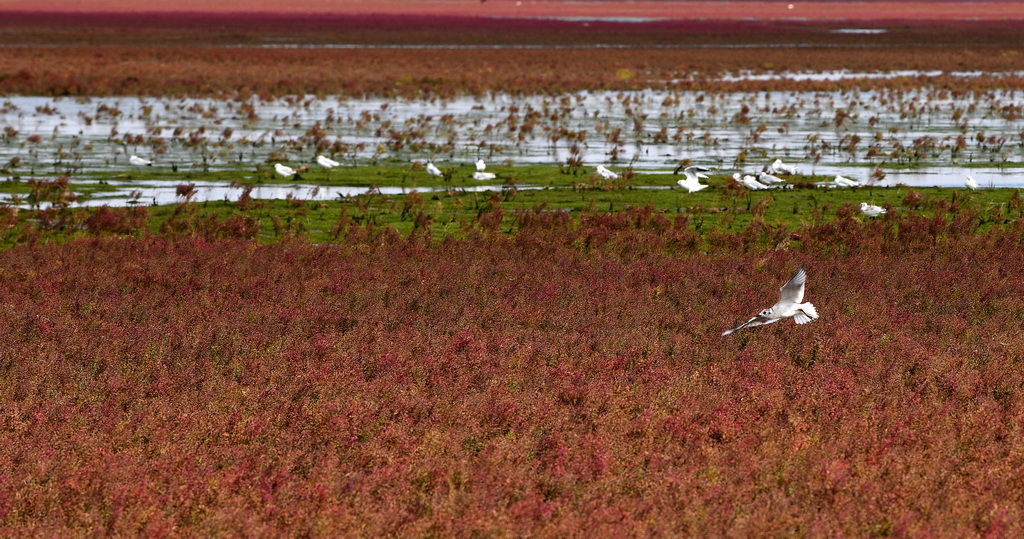 9��14�������B���|��ʡ�\�����躣�мt���������L���ȵ��t�����Ͽ��w�������A��ӛ�� �Xһ �z