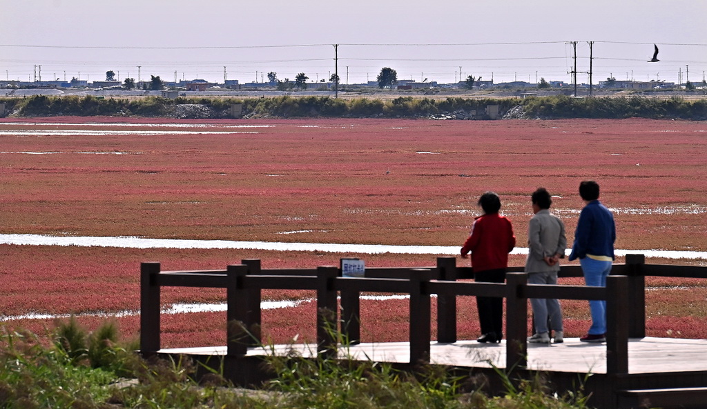 9��14�����ο����|��ʡ�\�����躣�мt���������L���ȵ����p�t���������A��ӛ�� ���A �z