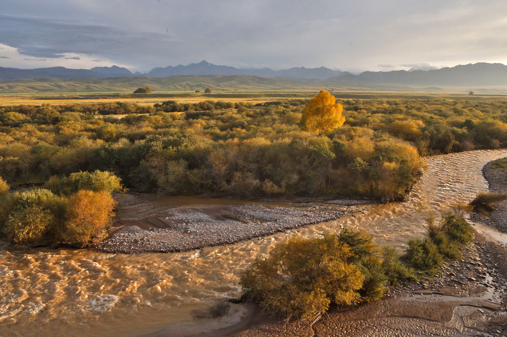 9月22日拍攝的甘肅省張掖市肅南裕固族自治縣夏日塔拉草原秋色。新華社發（姜愛平攝）