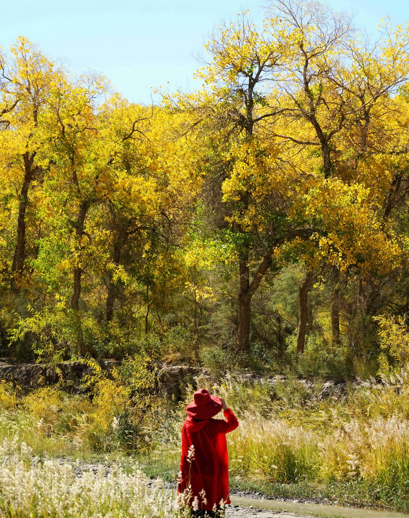 9月22日，游人在甘肅省酒泉市阿克塞哈薩克族自治縣多壩溝胡楊峽游覽。新華社發（馬曉偉攝）