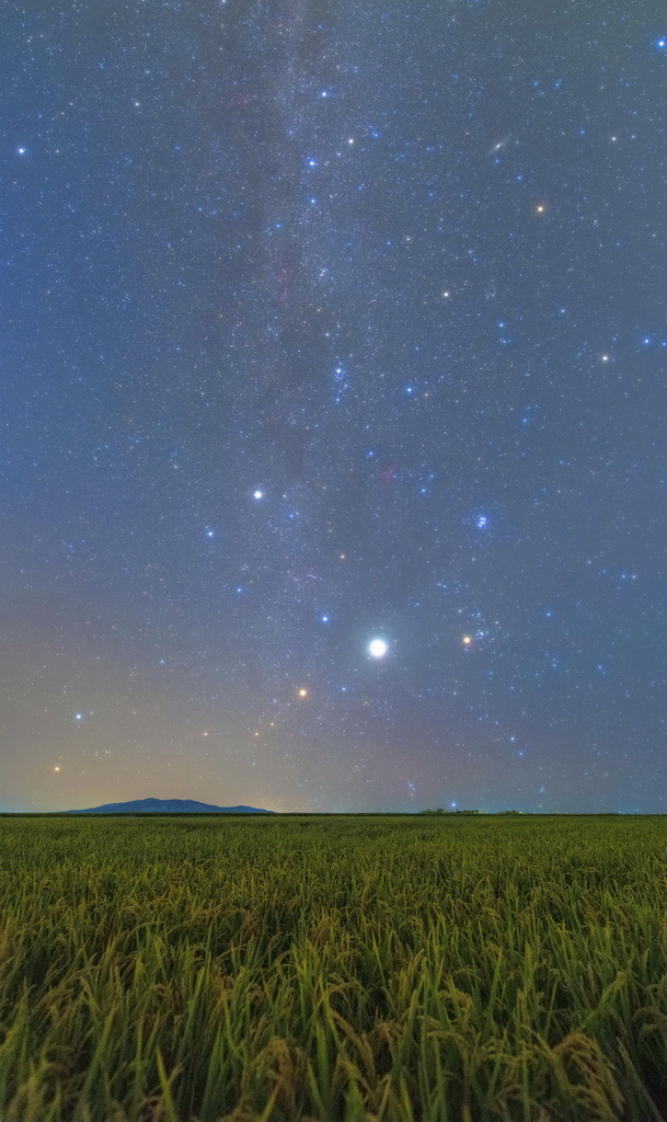 9月4日在黑龍江省富錦市硯山鎮長興村拍攝的星空下的稻田（堆棧合成照片）。新華社發（曲玉寶攝）