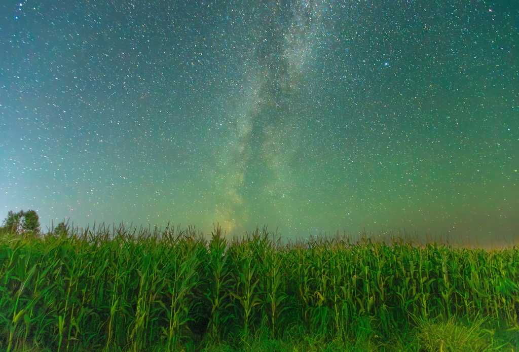 9月9日在黑龍江省湯原縣勝利鄉新豐村拍攝的星空下的玉米地。新華社發（朱宗強攝）