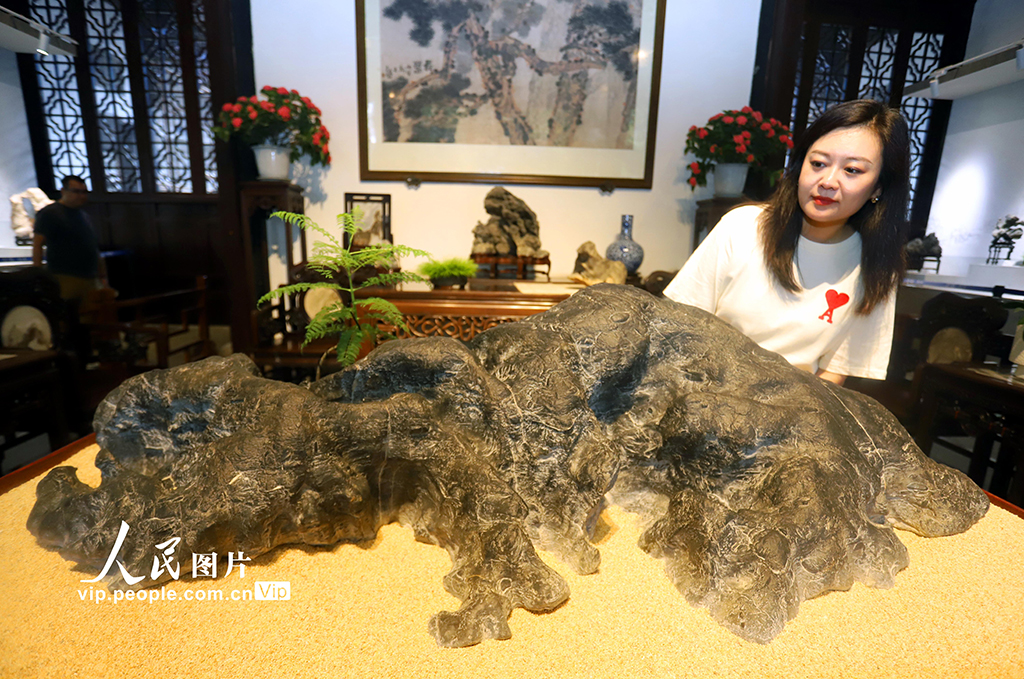 江蘇蘇州：“獅林真趣”雅石展開展【2】