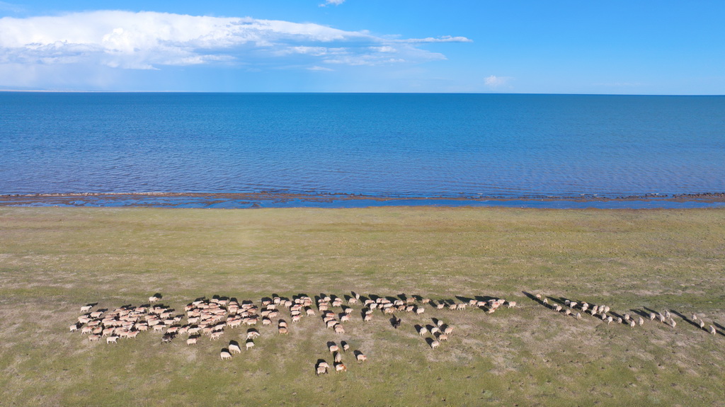 這是9月24日在青海省海北藏族自治州剛察縣拍攝的青海湖（無人機照片）。新華社記者 白瑪央措 攝