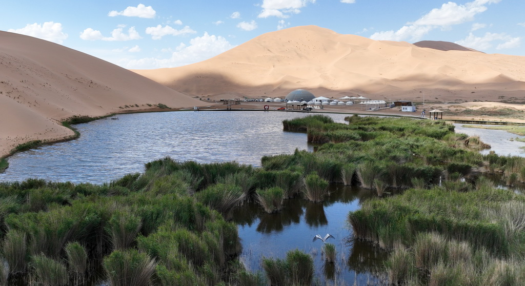 2024年7月30日拍攝的巴丹吉林沙漠巴丹湖中的水鳥（無人機照片）。新華社記者 貝赫 攝