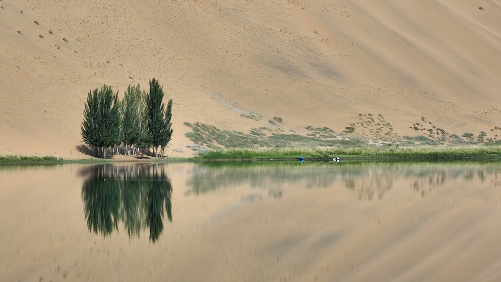 2024年7月31日拍攝的巴丹吉林沙漠中的南海子（無人機照片）。新華社記者 貝赫 攝