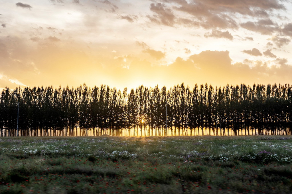 朝陽初升，海西州首府德令哈市，霞光萬丈。王劍攝