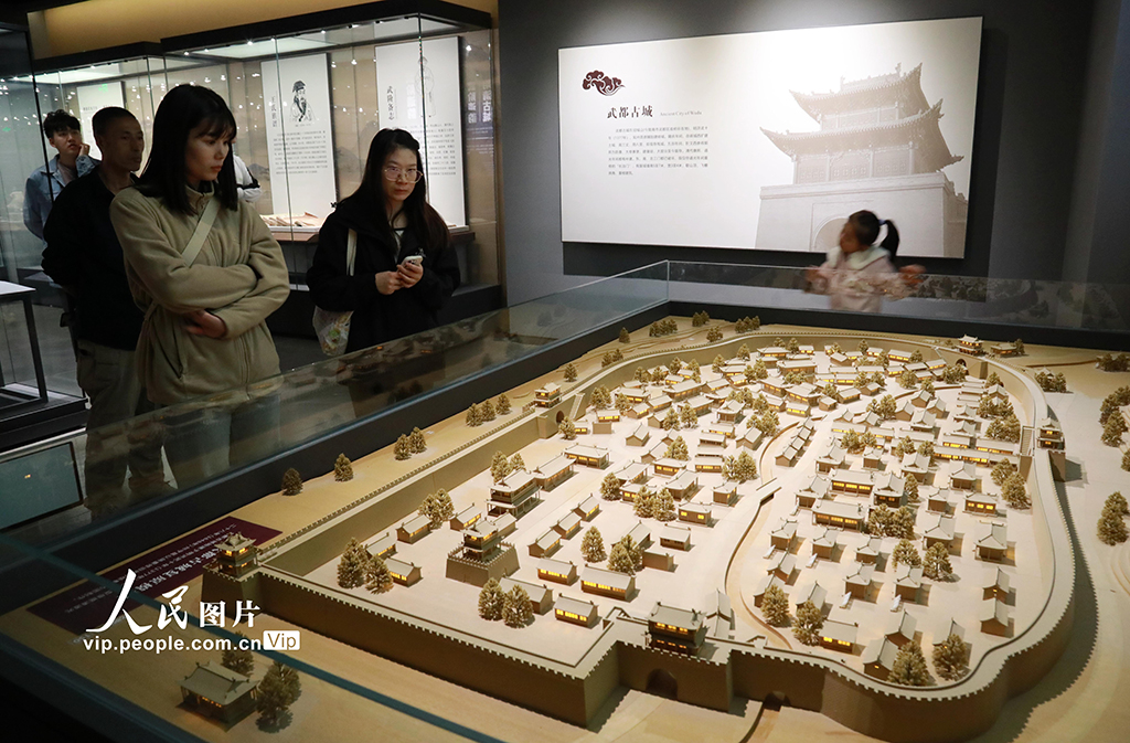 甘肅隴南：“博物館游”樂亨假期【5】