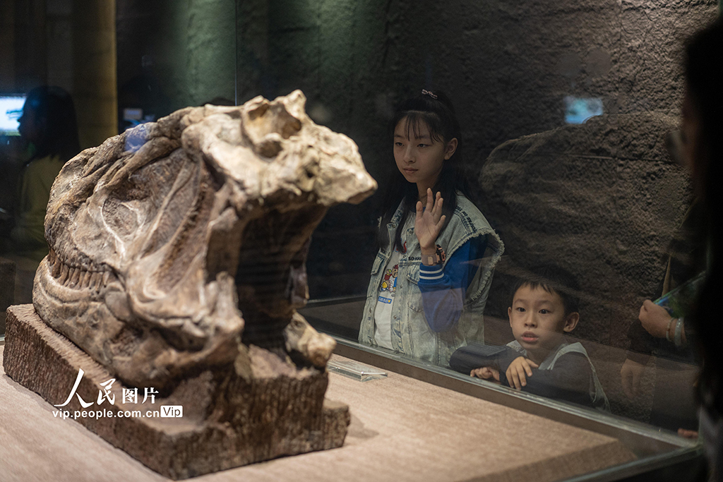 四川自貢：博物館里樂享假期【2】