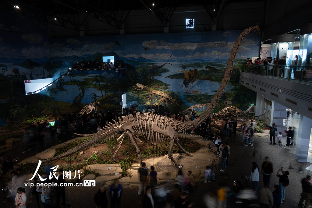 四川自貢：博物館里樂享假期【3】