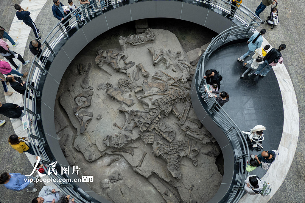 四川自貢：博物館里樂享假期【5】