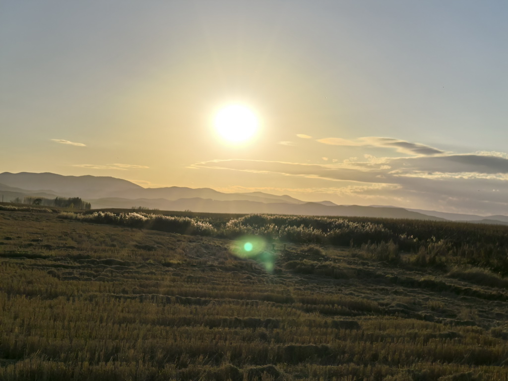 佳木斯湯原 : 水清稻香風景美 “引湯”工程潤民心【7】