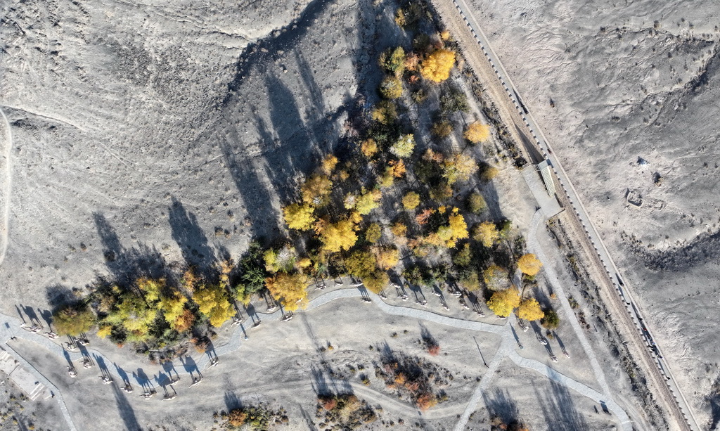 這是嘉峪關關城附近的懸壁長城和景區內的駝隊雕塑（無人機照片，10月17日攝）。