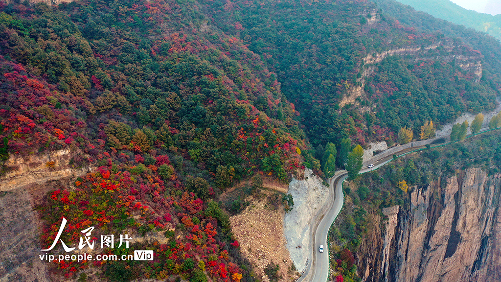 河南新鄉：太行秋色美【4】