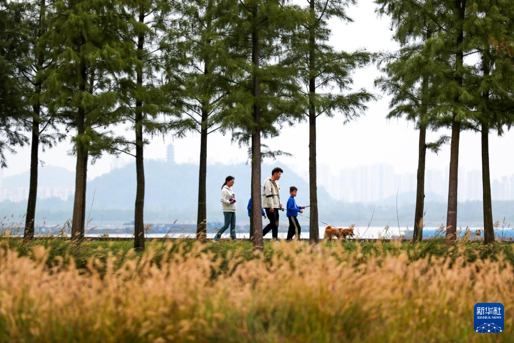 10月27日，游客在江蘇省揚州市燈塔公園內賞秋游玩。新華社發（齊立廣攝）