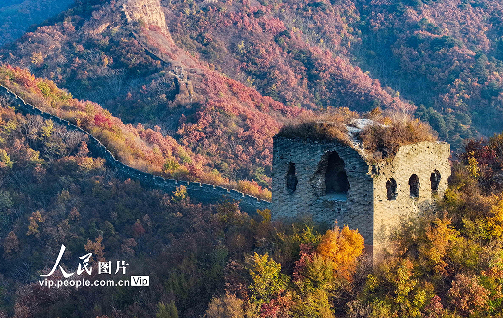 河北秦皇島：深秋長城美如畫【5】