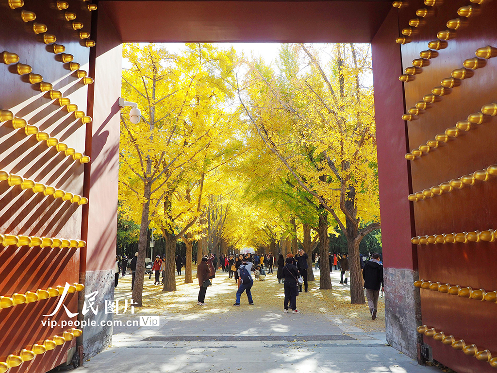北京：地壇公園秋色濃