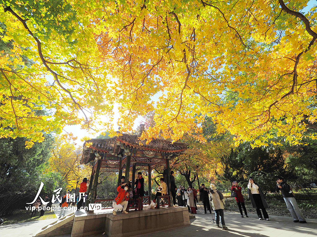 北京：地壇公園秋色濃【3】