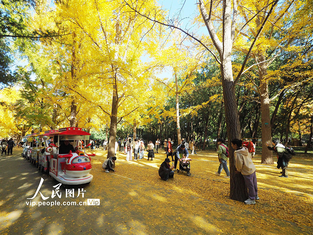 北京：地壇公園秋色濃【5】