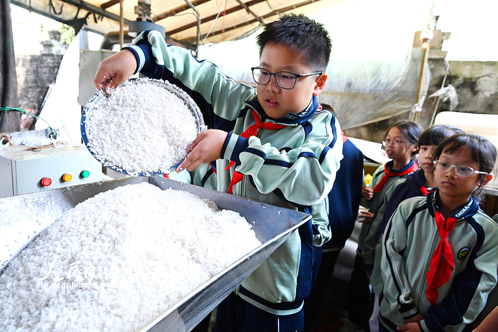 浙江溫嶺：學做年糕 傳承民俗【5】